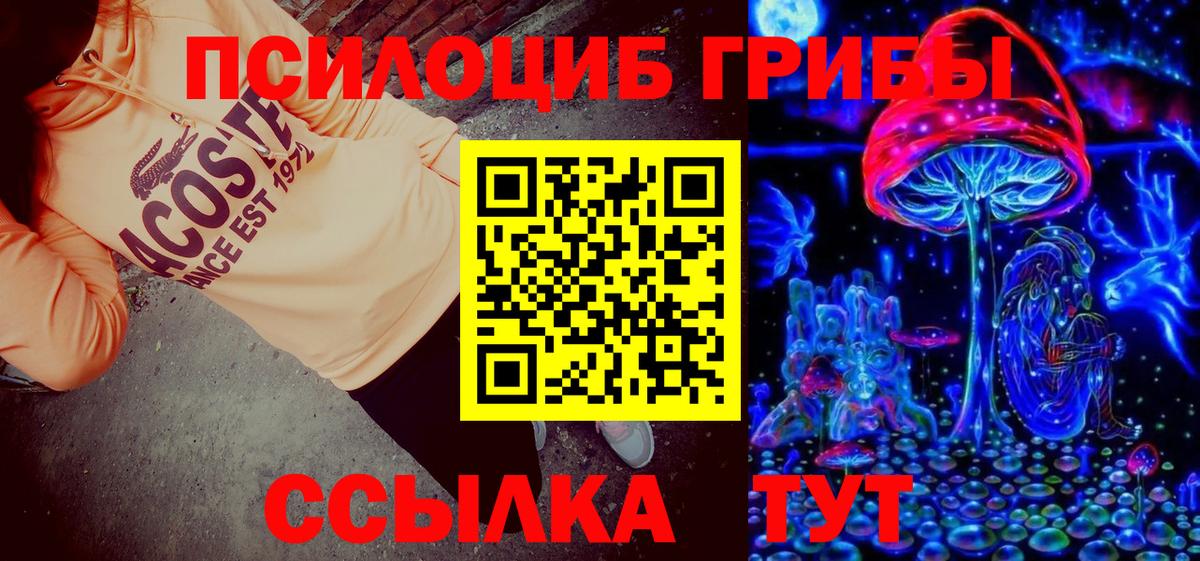 Галлюциногенные грибы Psilocybine cubensis  наркошоп  Михайловск  Вход с VPN 